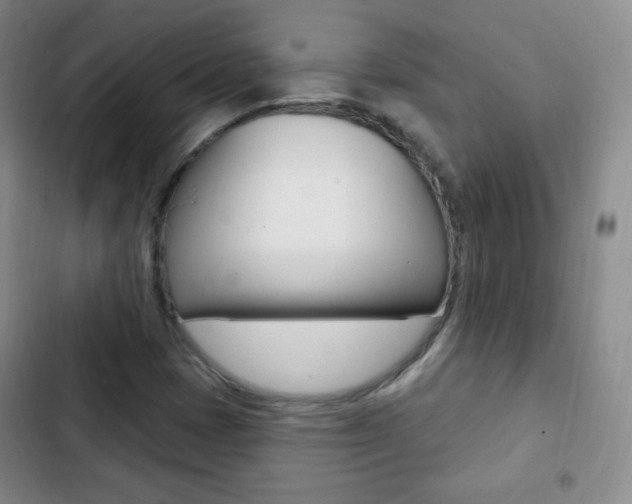 X0000103151401200808221117