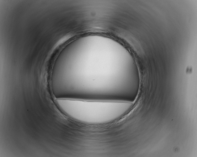 X0000103151402200808221117