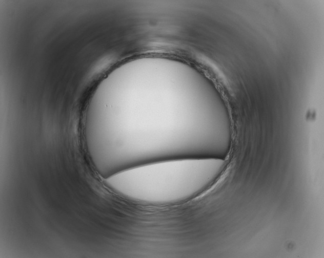 X0000103151403200808221117