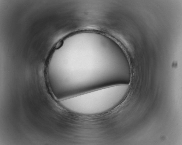 X0000103151404200808221117