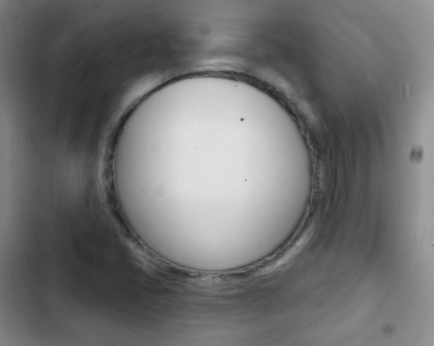 X0000103151405200808221117