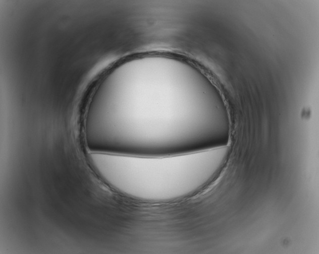 X0000103151406200808221117