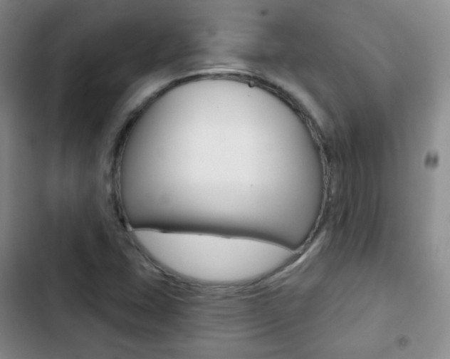 X0000103151407200808221117