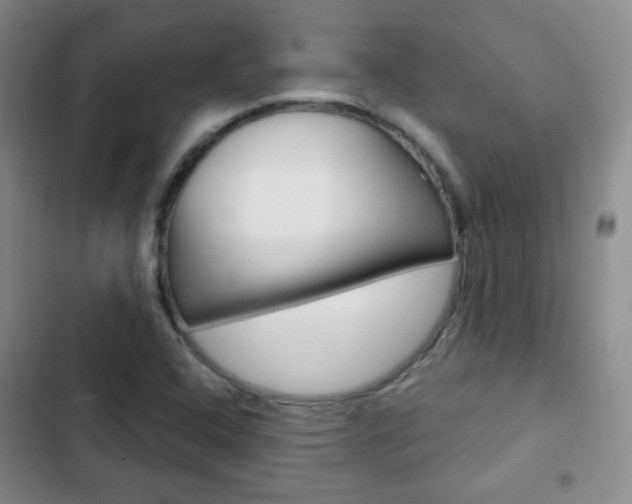 X0000103151408200808221117