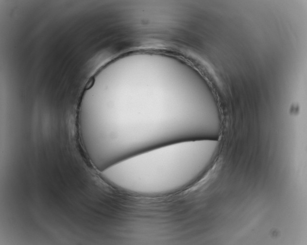 X0000103151409200808221117