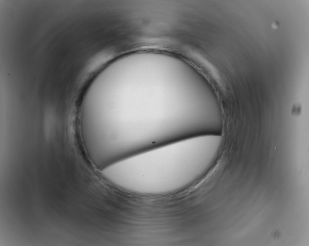 X0000103151411200808221117