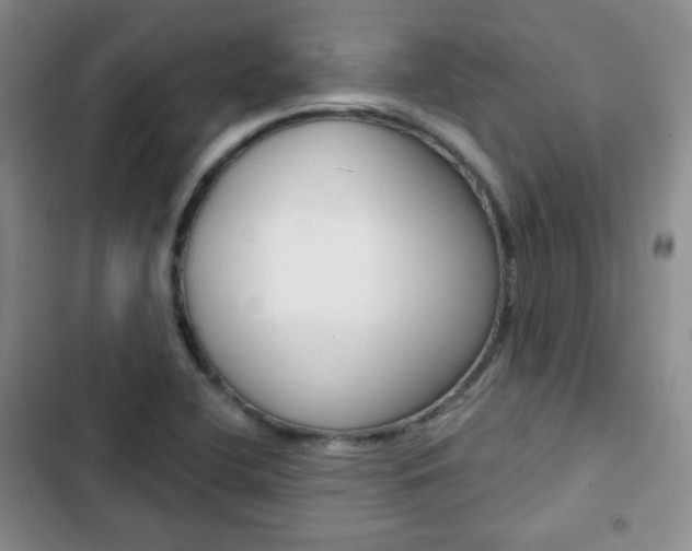 X0000103151412200808221117