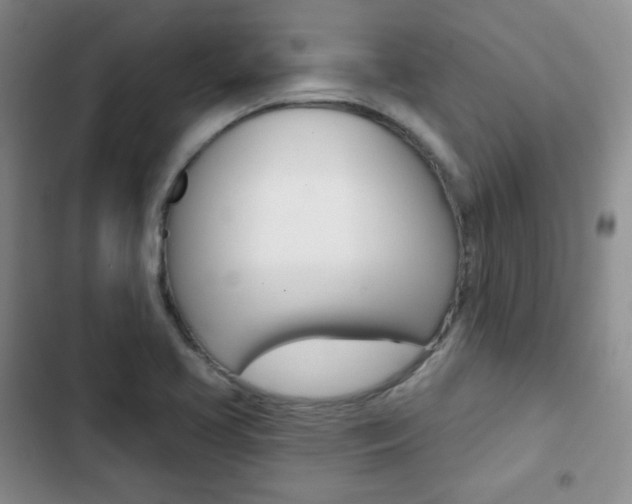 X0000103151413200808221117