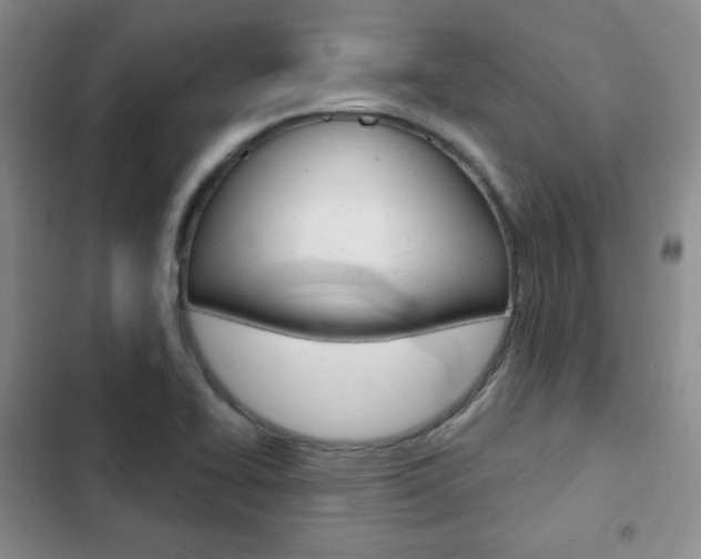 X0000103151414200808221117