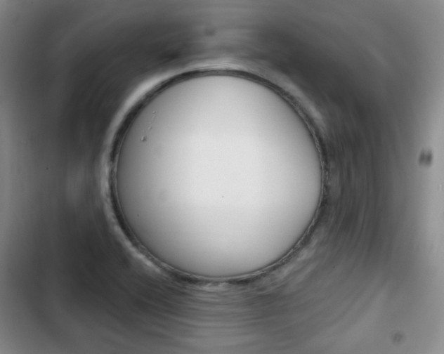 X0000103151416200808221117