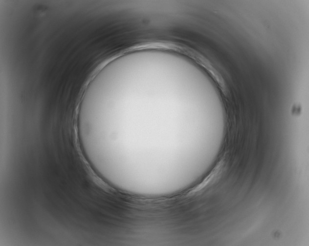 X0000103151417200808221117
