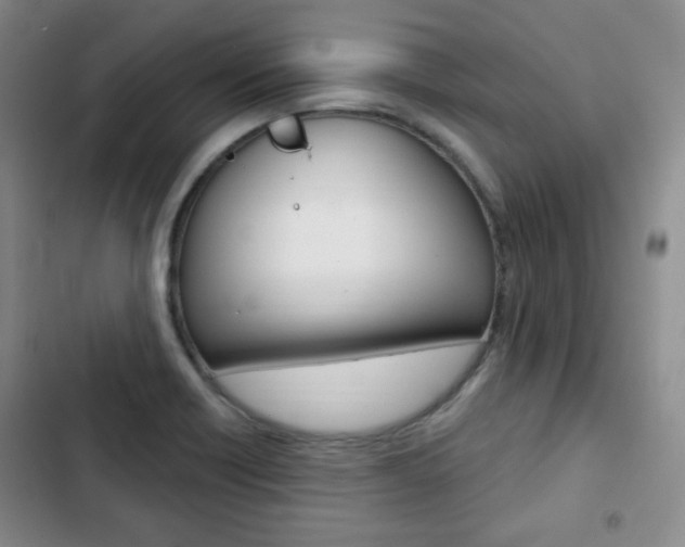 X0000103151418200808221117
