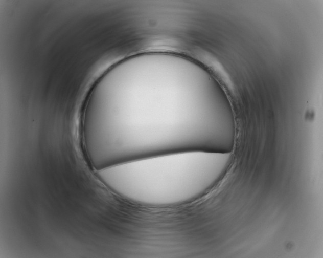 X0000103151419200808221117
