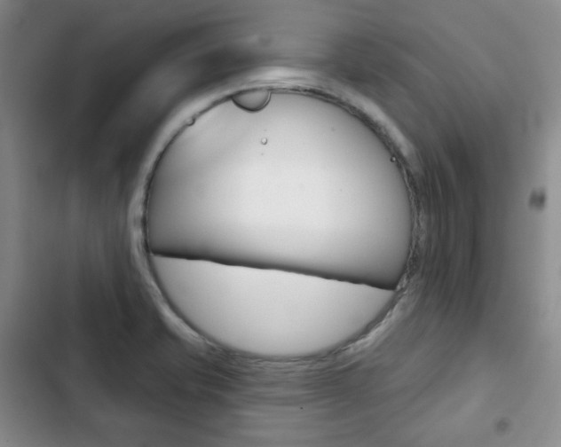 X0000103151421200808221117