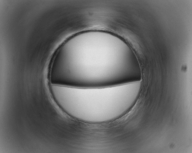 X0000103151422200808221117