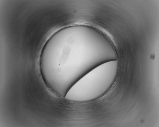 X0000103151423200808221117