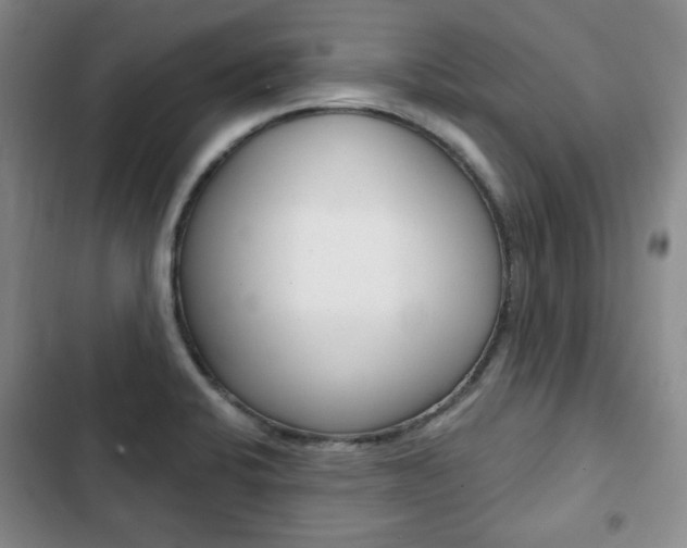 X0000103151424200808221117