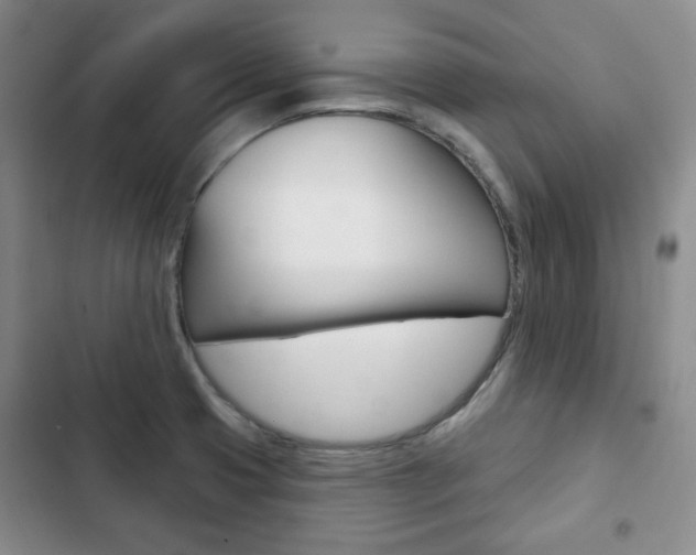 X0000103151425200808221117