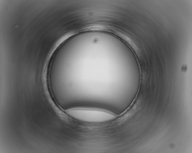X0000103151426200808221117