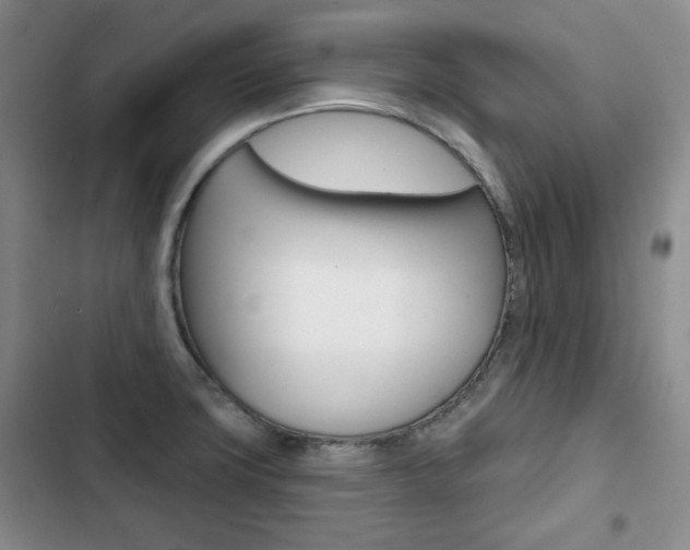 X0000103151427200808221117