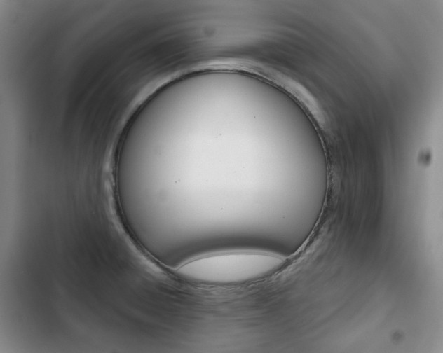 X0000103151428200808221117