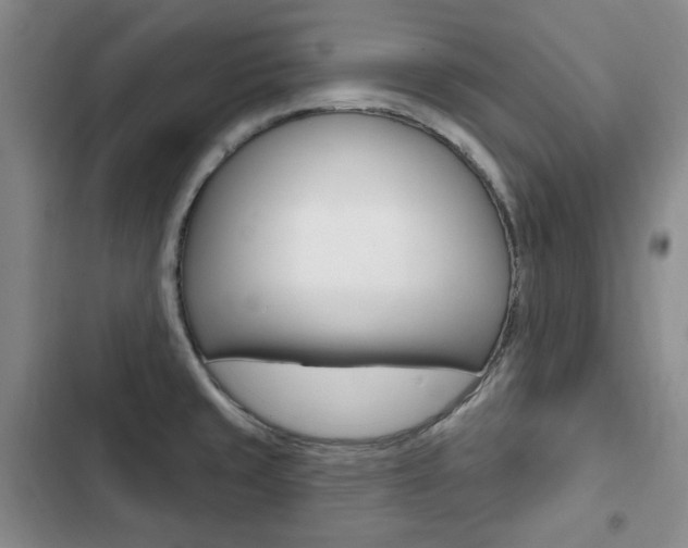X0000103151429200808221118