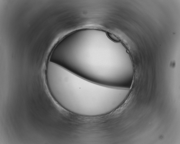 X0000103151430200808221118