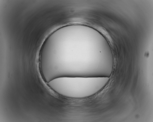X0000103151431200808221118