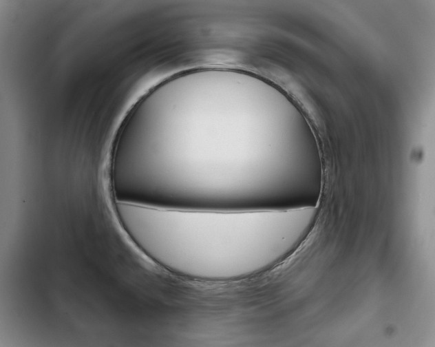 X0000103151432200808221118