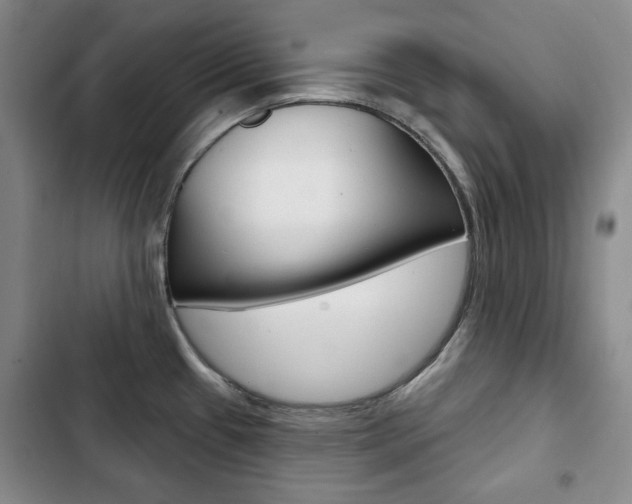 X0000103151433200808221118