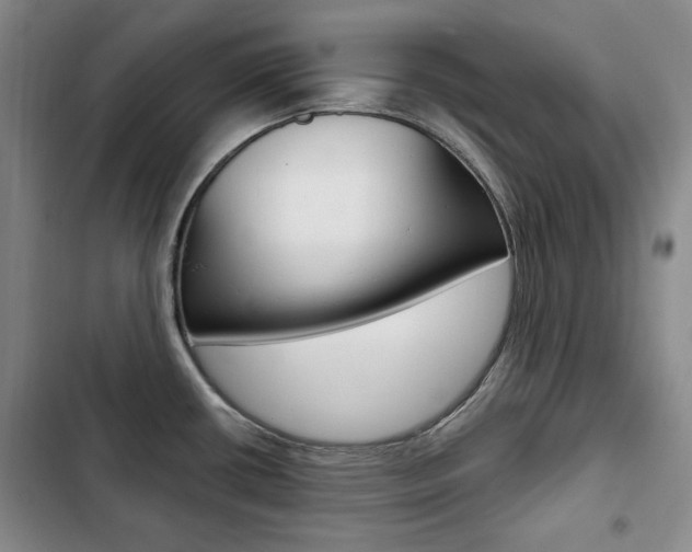 X0000103151434200808221118