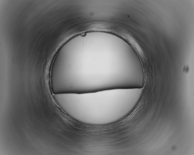 X0000103151435200808221118