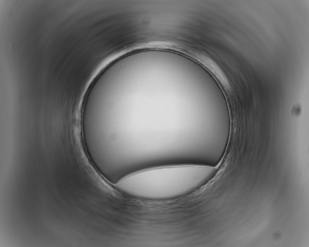 X0000103151436200808221118