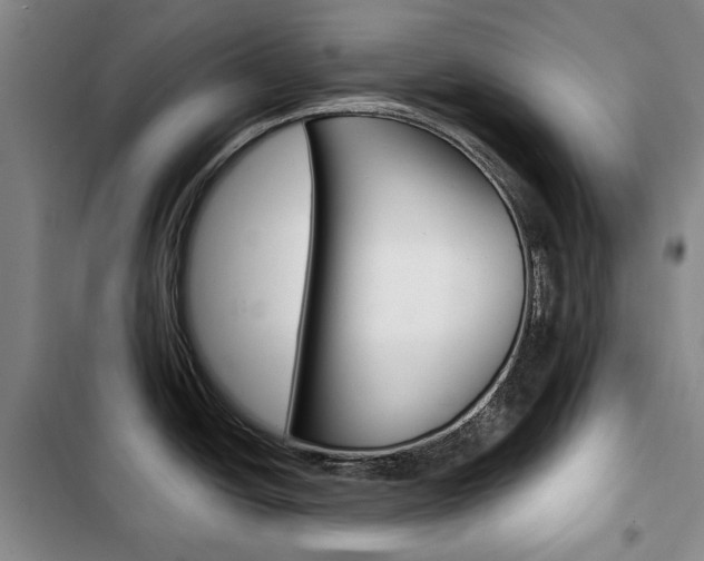 X0000103151438200808221118