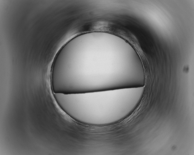 X0000103151439200808221118