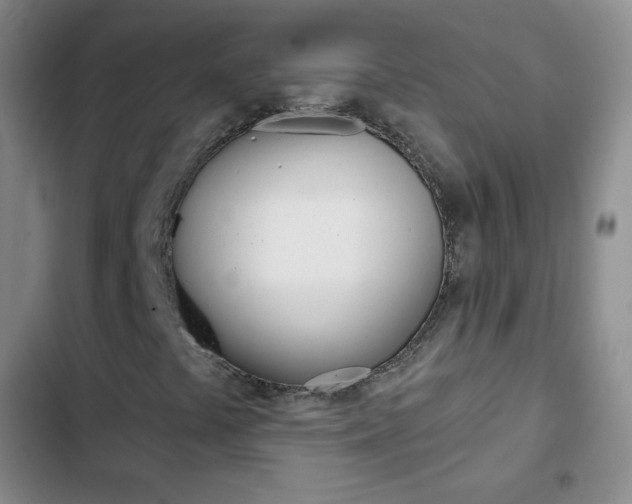 X0000103151441200808221117