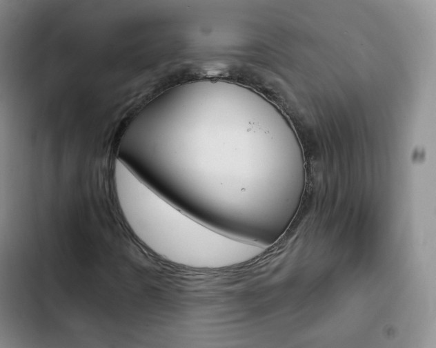X0000103151442200808221117