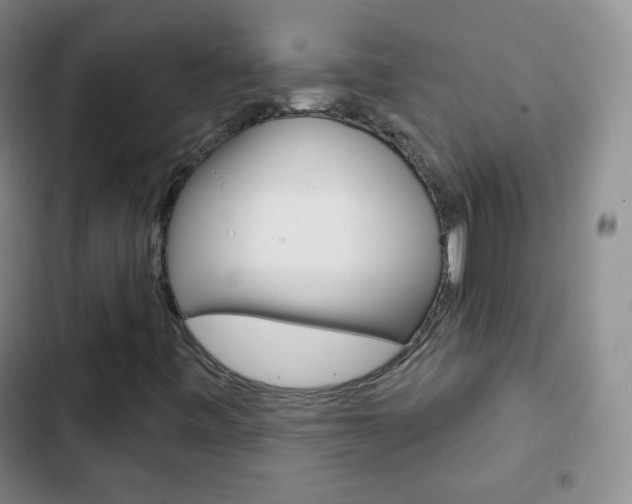 X0000103151443200808221117