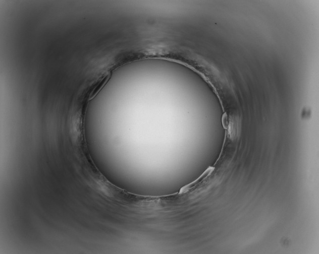X0000103151444200808221117