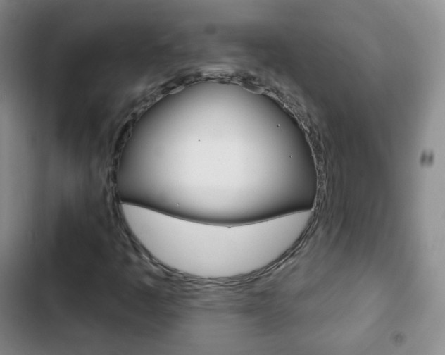 X0000103151445200808221117