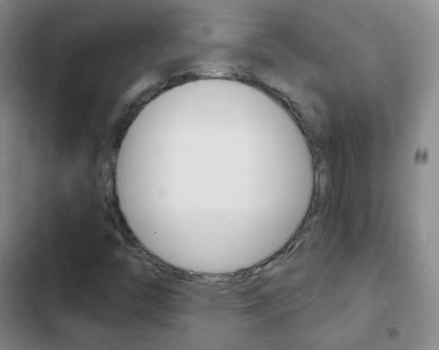 X0000103151446200808221117