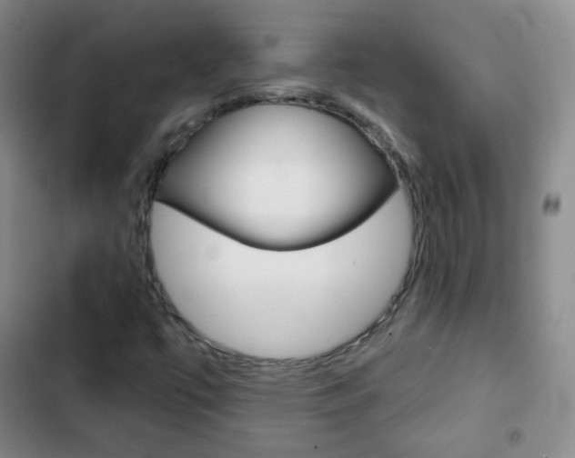 X0000103151447200808221117