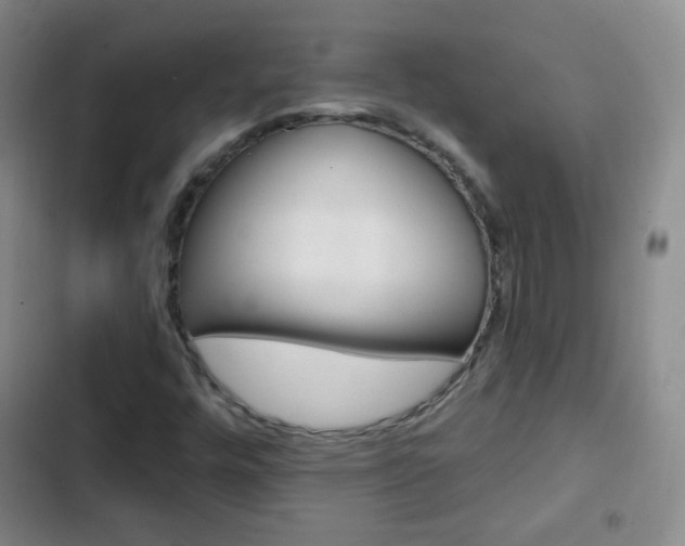 X0000103151448200808221117