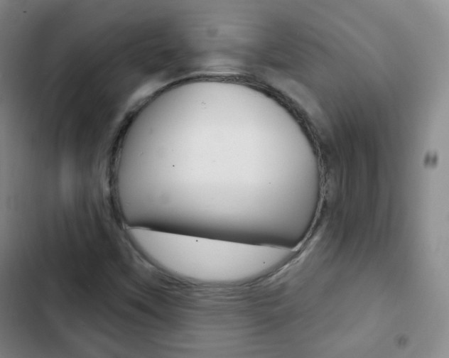 X0000103151451200808221117