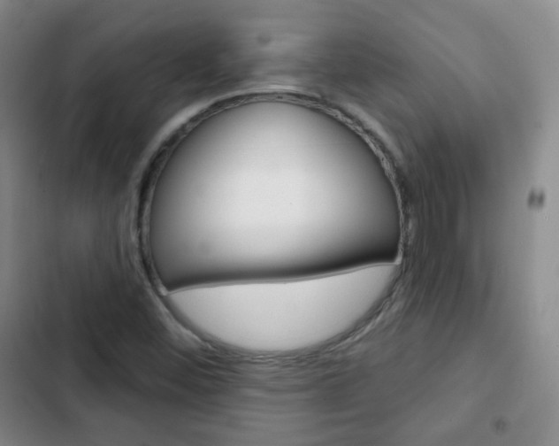 X0000103151452200808221117