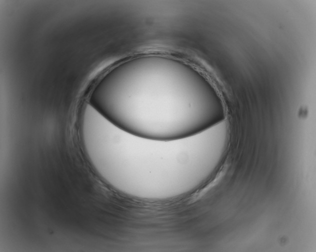 X0000103151453200808221117