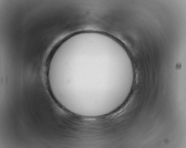 X0000103151454200808221117