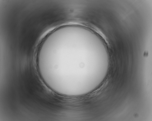 X0000103151456200808221117