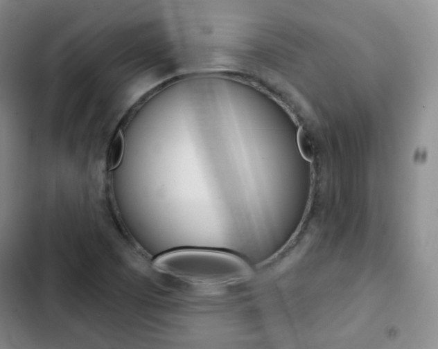 X0000103151457200808221117