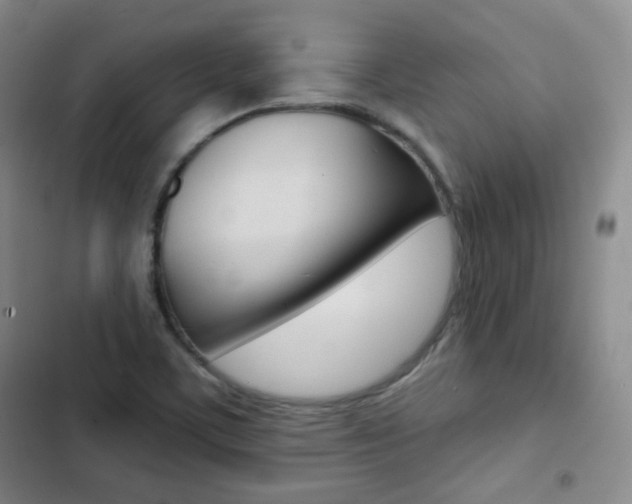 X0000103151459200808221117